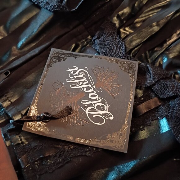 Lip Service Blacklist Aline Skirt --- Goth - Picture 6 of 6